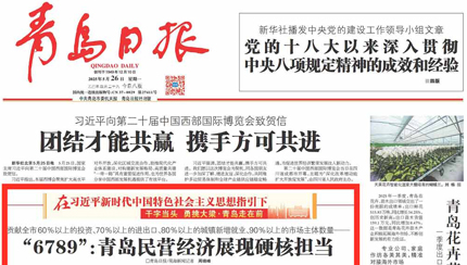 “6789”：青岛民营经济展现硬核担当